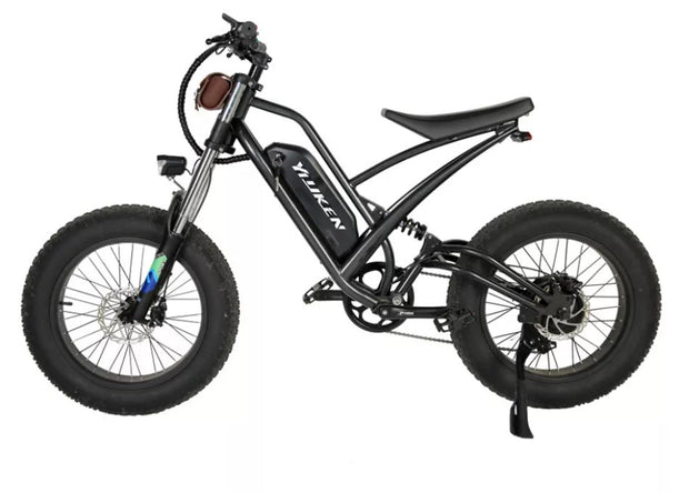 Terräng El-cykel Fatbike#01